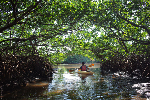 Krabi kajakpaddling Ao thalane