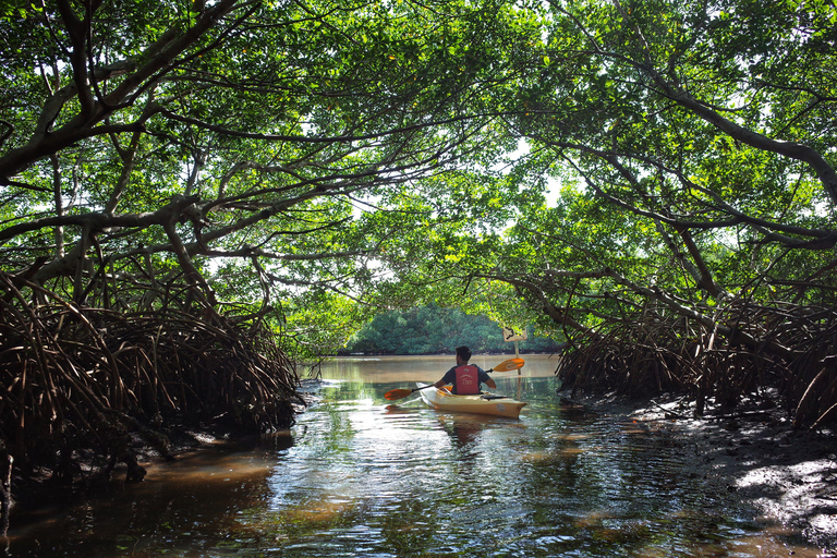 Kajakken in Krabi Ao thalane