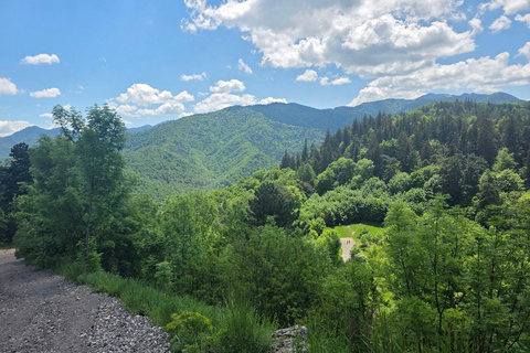 Easy Hike to Tampa Peak & Panoramic Coffee Break