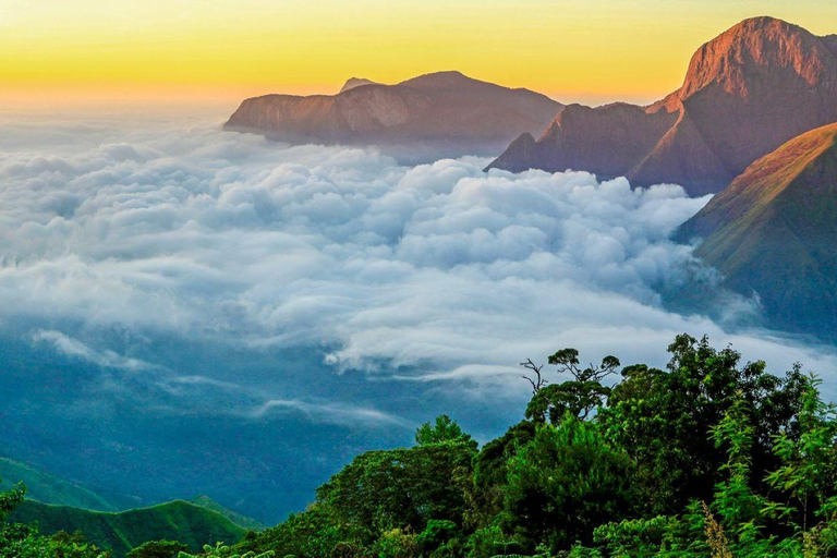 From Kochi:- 02- Days Munnar Hill Station Guided Tour
