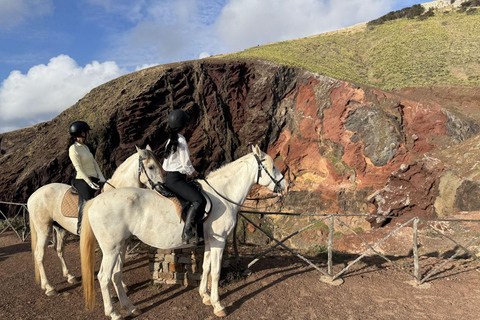 Isla de Porto Santo: Paseos a caballo180 min Aventura