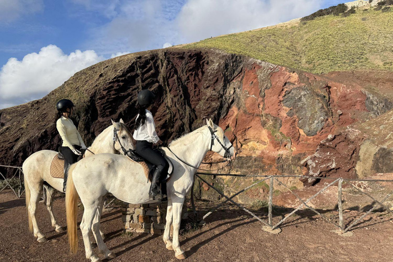 Isla de Porto Santo: Paseos a caballo180 min Aventura