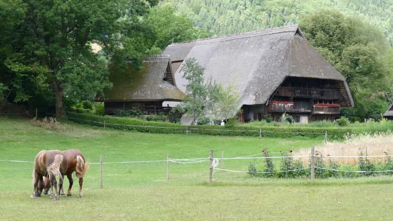Depuis Strasbourg : excursion d'une journée dans la Forêt-Noire avec guide et musée