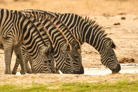 4-Day Four Countries - Zimbabwe, Zambia, Botswana & Namibia