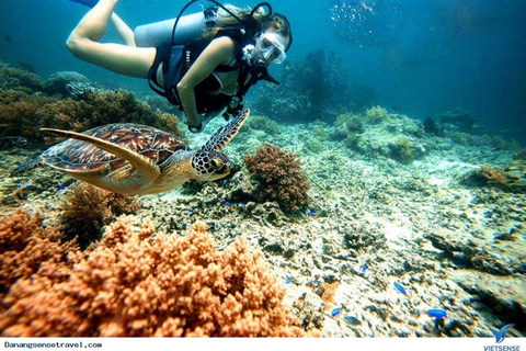 Da Nang/Hoi An: Cham Islands Snorkeling or Scuba Diving Diving in Cham Islands with an instructor