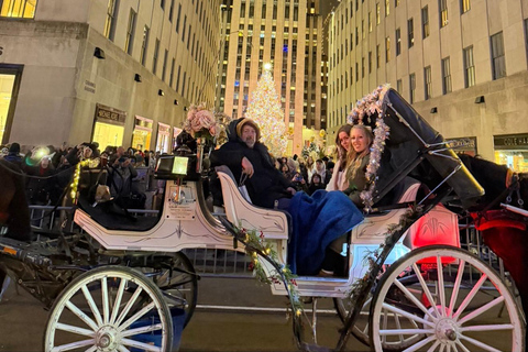 NYC: Central Park Christmas Lights Horse-Drawn Carriage Ride