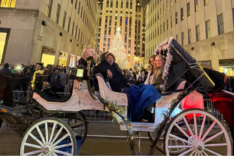 NYC: Central Park Christmas Lights Horse-Drawn Carriage Ride