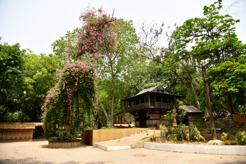 Delhi: National Crafts Museum Walking Tour With Guide & Entrance Tickets