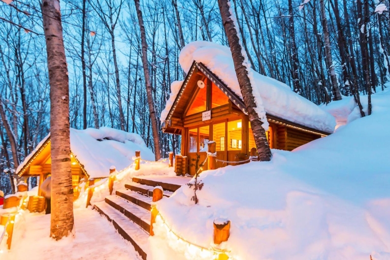 Au départ de Sapporo : Excursion d'une journée au pays des merveilles de l'hiver dans la région d'Hokkaido