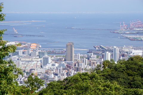 Osaka: Castello di Himeji, Arima Onsen e Monte Rokko Tour di 1 giorno in autobus