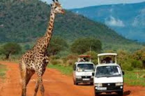 Privé-safari met overnachting naar Severin Camp vanuit Mombasa