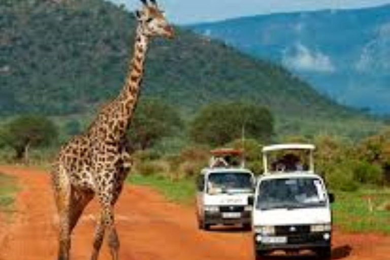 Safari privado de una noche al Campamento Severin desde Mombasa