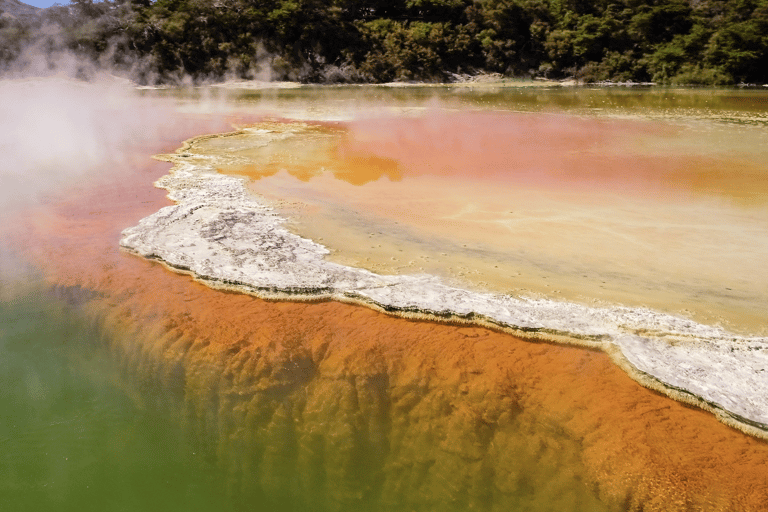 Tauranga: Wai-o-Tapu with Redwood Forest Walk or Forest Spa