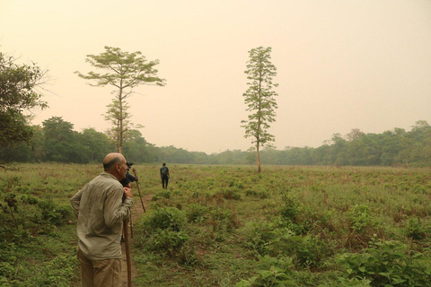 3 jours de safari à Chitwan