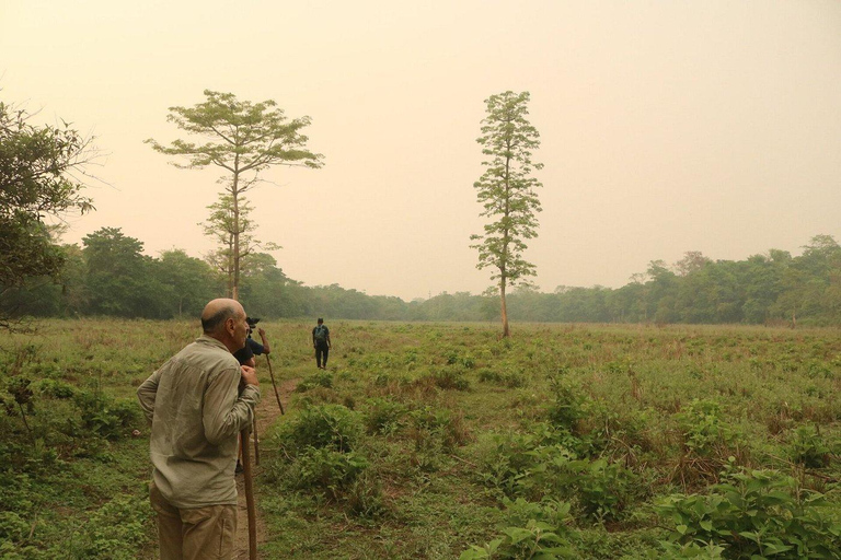 3 jours de safari à Chitwan