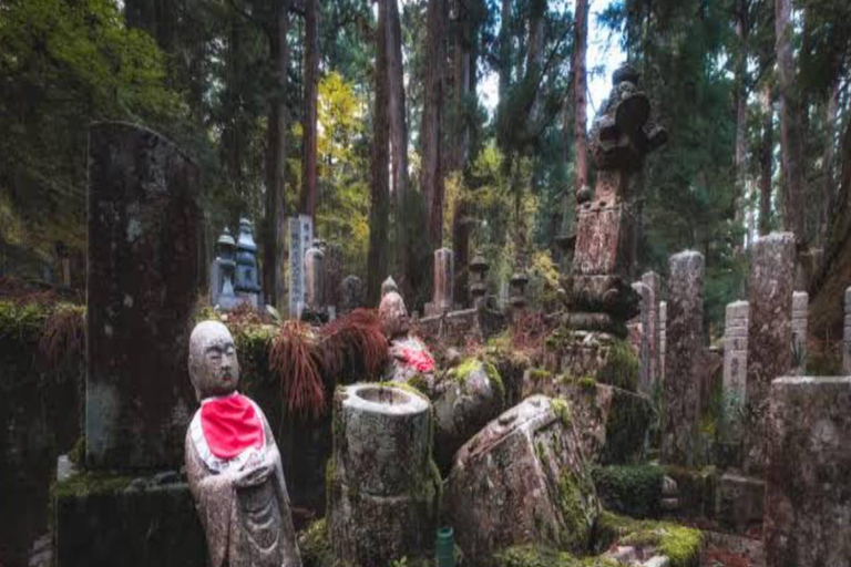 Wakayama: Private Tour to Nachi Falls & Mount Koya