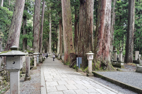 Koyasan : le silence sacré d&#039;Okunoin à l&#039;aube et à la nuit tombéeVisite à l&#039;aube