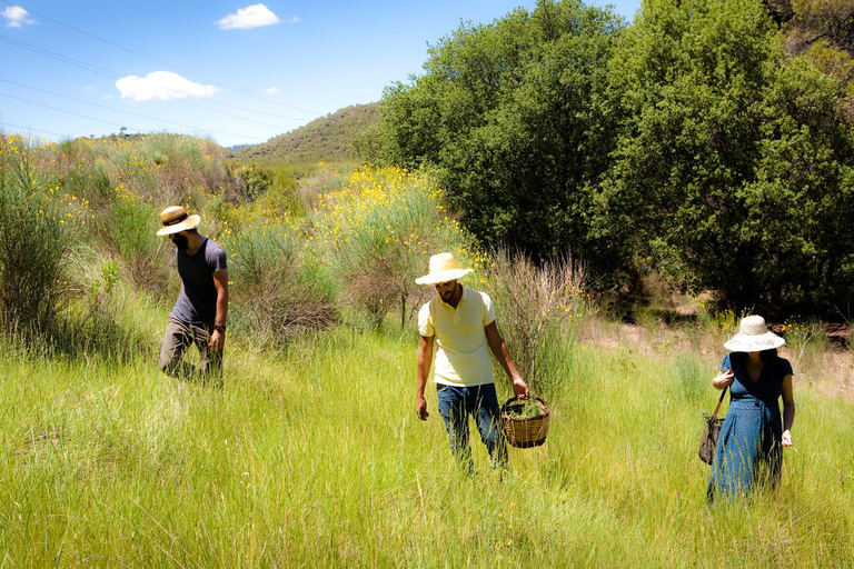 Wilde Wanderung: Entdecke die lokale Wildflora