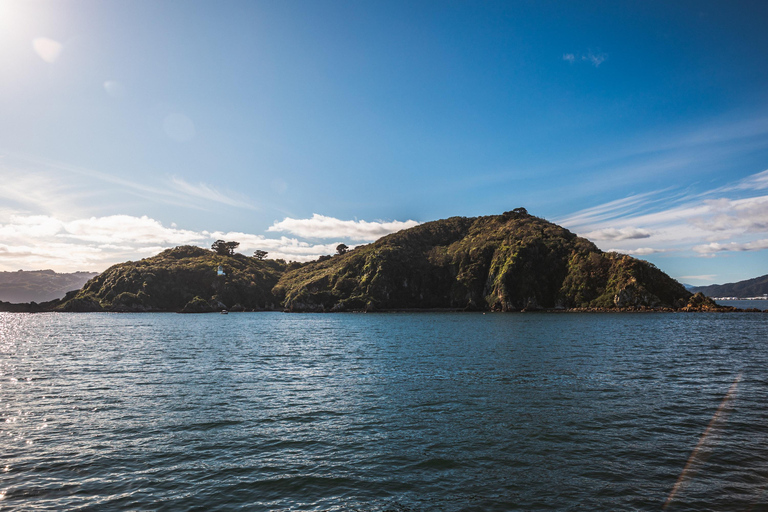 Wellington: Commentated Harbour Explorer tour Commentated Harbour Tour of Wellington Harbour