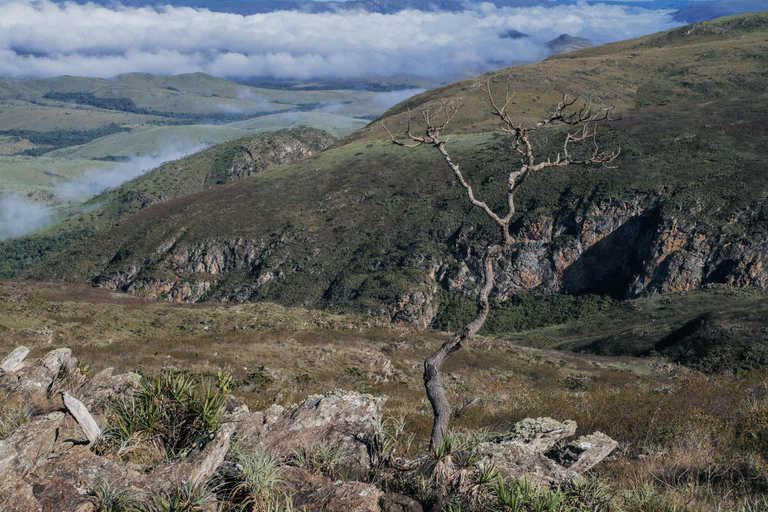 From São Paulo: 5-Day Serra da Canastra Wildlife Safari