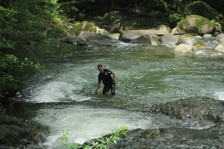 Boquete: Familjetur (Caldera Experiences)