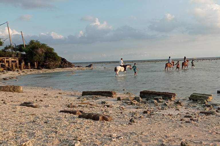 Gili Trawangan : Biking, Horse Riding, Paddle Boat & Sunset