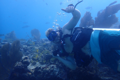 Key West: Scuba Diving Refresher Course