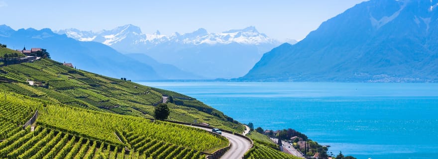 Visite privée Genève-Gruyère : chocolaterie et fromagerie