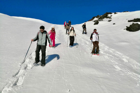 Piano Provenzana: Guided Mt. Etna Snowshoeing Trek
