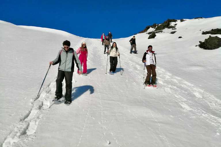 Piano Provenzana: Guided Mt. Etna Snowshoeing Trek