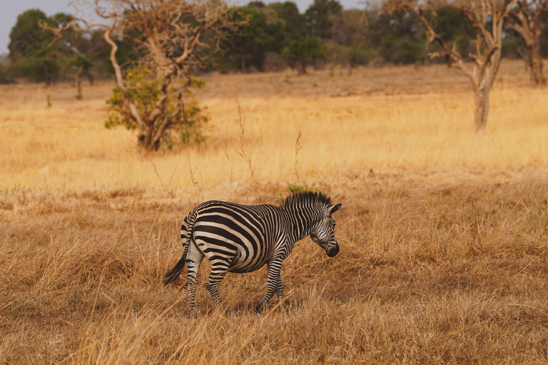 From Zanzibar: 2-Day Mikumi Safari & 2 Game Drives & flight