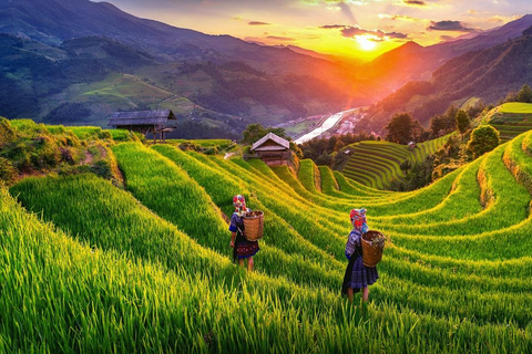 Crossing: Mu Cang Chai Rice Terraces 2-Day Tour from Hanoi