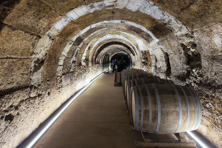 Visit and tasting in La Rioja wineries: Architecture, History and Wine Architecture and wine, and hidden wineries in RIOJA