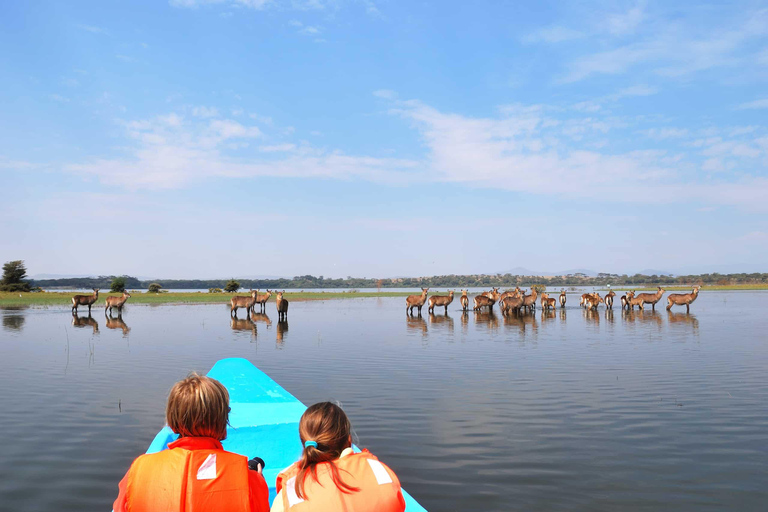 Hell's Gate and Lake Naivasha Guided Day Trip