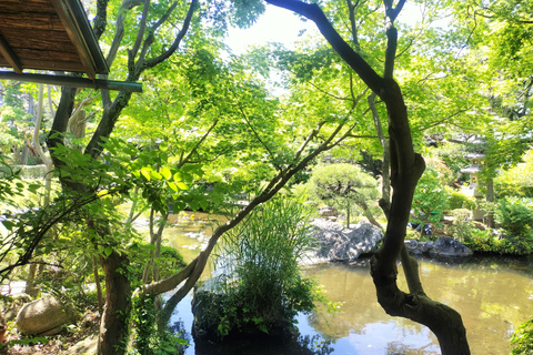 Tokyo: Ginza to Shibamata Walking Tour with Guide