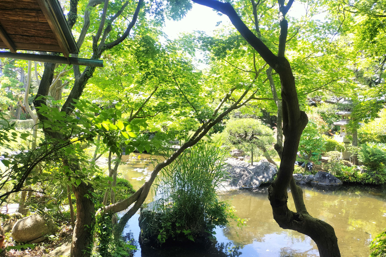 Tokyo: Ginza to Shibamata Walking Tour with Guide