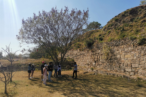 Visite guidée d&#039;une journée sur la route du Monte AlbanBillets et repas inclus