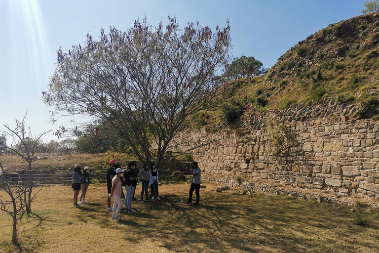 Visite guidée d&#039;une journée sur la route du Monte AlbanBillets et repas inclus