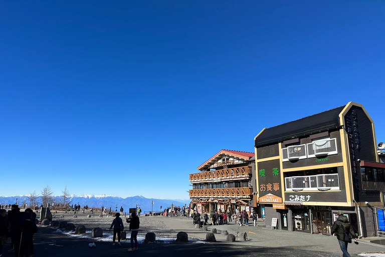 From Tokyo: Mt. Fuji or Hakone Private Sightseeing Day Trip Itinerary A: Mount Fuji