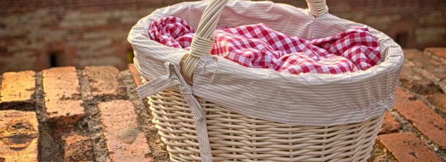 Pique-nique bio dans le vignoble à Cannara