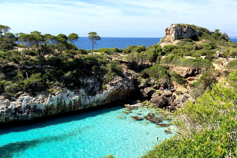 Majorque : Excursion d'une journée à Des Moro, Salmunia et LlombardsDepuis le nord : Mallorca tour Cala Des Moro, Salmunia y Llombard