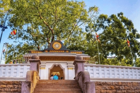 Anuradhapura: Tuk Tuk Tour with Temples & Hidden Stories Standard Package (Budget Option)