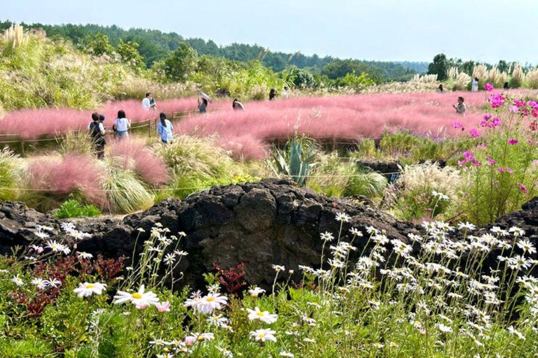 Jeju: Private Shore Excursion for Cruise Guests– West&South Seogwipo Gangjeong Port