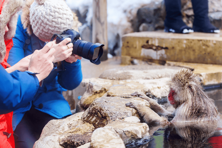 Snow Monkey &amp; Natural Hot Spring Retreat Privat tur!Upphämtning och avlämning runt Nagano