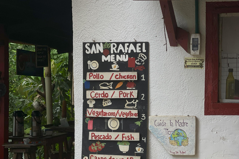 Minca: Coffee Farm and Hidden Waterfall Tour with Lunch