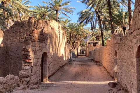 Oasis Adventure in Alula