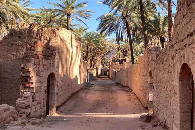 Aventura en el Oasis de Alula