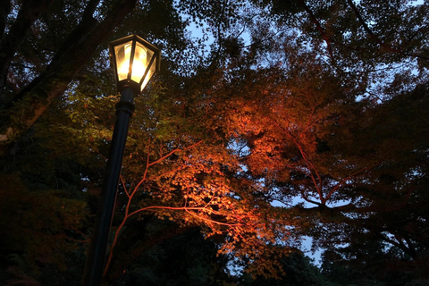 Get to know Minoo from Osaka. Katsuoji Temple, Ryuanji Waterfall and Ryuanji Temple