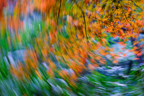 Hangzhou Temples Trail: Explore Lingyin, Faxi, and Yongfu