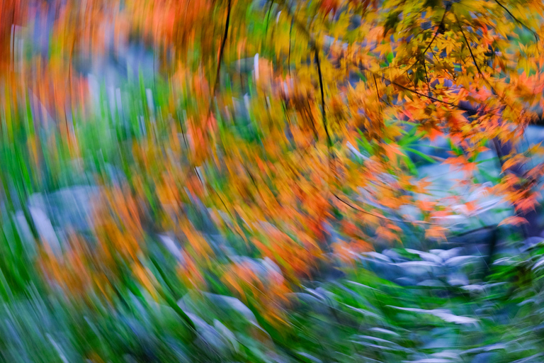 Hangzhou Temples Trail: Explore Lingyin, Faxi, and Yongfu